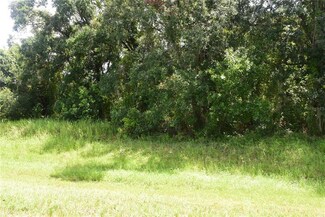 0 Dallas Blvd Unit S5071889, Orlando, FL 32833