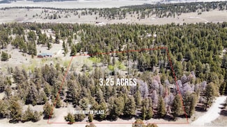 1980 Pitchfork Rd Unit 1251, Hartsel, CO 80449