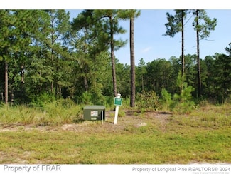 182 Broadlake (637) Ln, Spring Lake, NC 28390