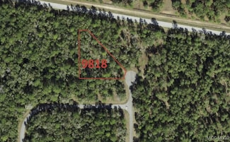 9818 N Lily Dr, Dunnellon, FL 34434
