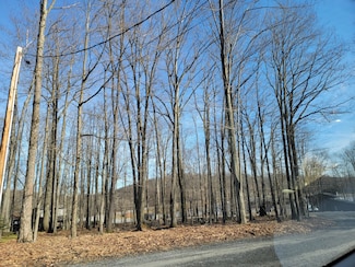 Sec 11 Trade Winds Rd Unit 11 137, Treasure Lake, PA 15801