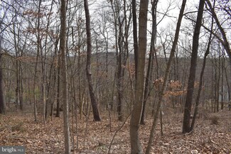 0 Tdb Mulberry Ln, Mount Jackson, VA 22842