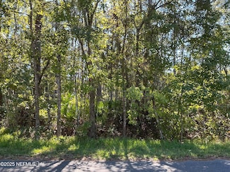 127 Landmark Ave, Satsuma, FL 32189