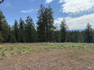 Lot 7 Van Dorn Dr, New Meadows, ID 83654