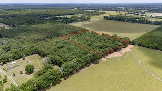 Lot B 00 SW Co Road 344, Trenton, FL 32693
