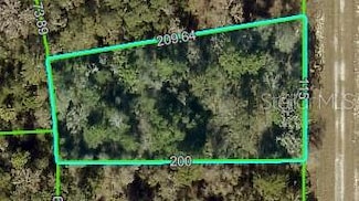 0 Curlew Rd Unit MFRW7873813, Brooksville, FL 34614