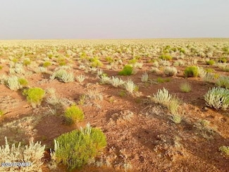 TBD Hodges Ln 39 05 Acres --, Holbrook, AZ 86025