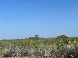 44 Ranch North Tract 21, Rosita, TX 78384