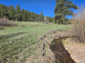 0 S Foxton Rd Unit REC2666841, Conifer, CO 80433