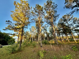 506 Nature Trail, Blackville, SC 29817