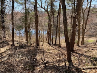 73 Leland Rd, Norfolk, MA 02056