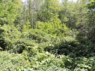 Lot 5 Buteau Rd, Spencer, MA 01562