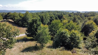 22 N Slope Dr, Onekama Township, MI 49675