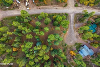 7 2190, Alpine, AZ 85920