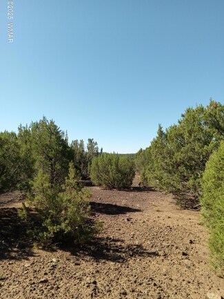101 3199, Vernon, AZ 85940