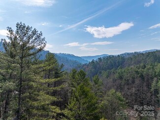 0 Wagon Ridge Rd, Ferguson, NC 28624