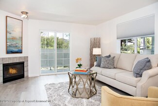 8102 Elk Ln Unit 8102, Basalt, CO 81621