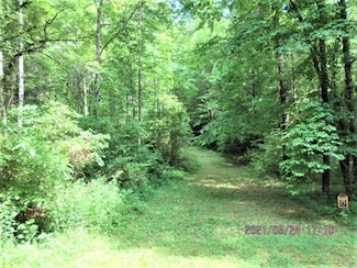 L17 Owl Creek & Panther, Murphy, NC 28906