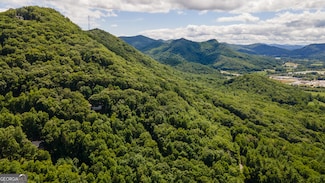 11 & 12 Walnut Mountain Rd, Rabun Gap, GA 30568