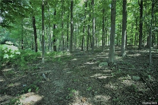 58-62 Walmer Ln, Philipstown, NY 10516