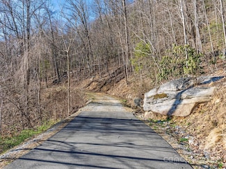 Lot w13 Curtain Bluff, Hendersonville, NC 28791