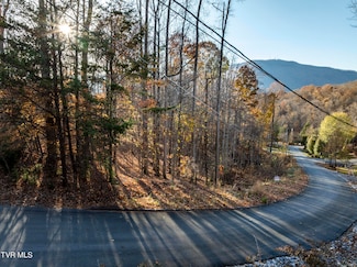 Lot 35 Lonestar Dr, Johnson City, TN 37601