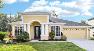 27209 Firebush Dr, Wesley Chapel, FL 33544