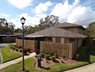 850 Creekway Ct, Brandon, FL 33511