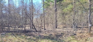 0 Watcher Blvd Unit 155914, Durham, NY 12423