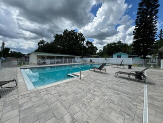 216 Palm Dr, Tampa, FL 33613