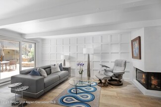 630 E Cooper Ave Unit 2, Aspen, CO 81611