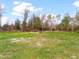 9320 Pat Rd, Youngstown, FL 32466