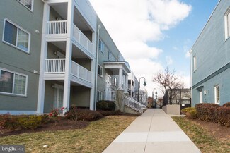 4161 S Four Mile Run Dr Unit 302, Arlington, VA 22204