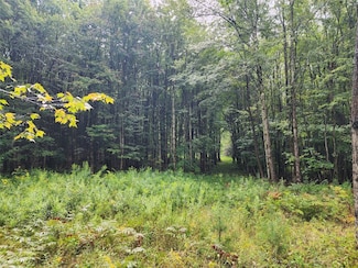 400 Sprague Rd, Afton, NY 13730