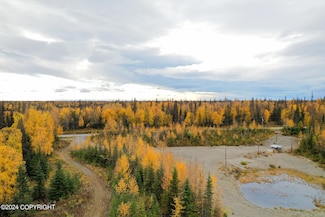 45855 Holt-Lamplight Rd, Nikiski, AK 99611
