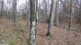 Brady Mountain Cutoff Unit 10381255, Royal, AR 71968