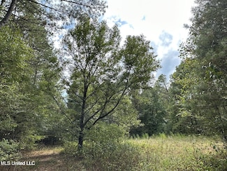 4884 Mississippi 13, Morton, MS 39117