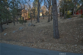 1411 Yosemite Dr, Lake Arrowhead, CA 92352