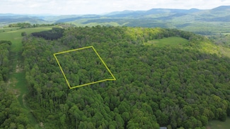 0 Pocahontas Highlands Unit 25-587, Valley Head, WV 26294