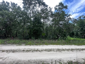 0 NE 155th Terrace Unit MFROM709277, Williston, FL 32696