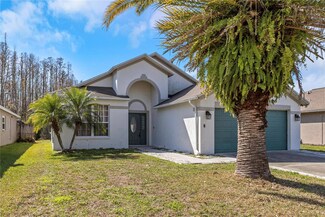 30648 Nickerson Loop, Wesley Chapel, FL 33543