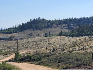 2475 W Longbow Dr, Como, CO 80456