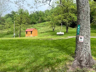 411 Cap Run Rd, Walkersville, WV 26447