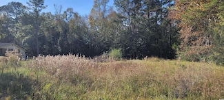 121 Oak Log Lake Rd, Conway, SC 29526