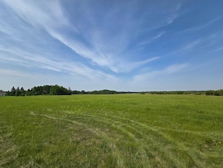 xxxxx 530 Ave, Spruce Grove Township, MN 56464