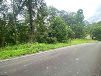000 TBD Limestone Rd, Parsons, WV 26287