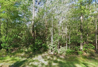 00 Shawnee St, Kiln, MS 39556