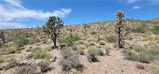 416 N Oro Dr, White Hills, AZ 86445