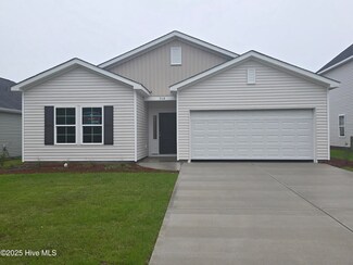 328 Ruby Baird Dr Unit Lot 187, Sneads Ferry, NC 28460