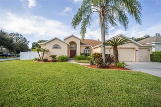 4709 Red Warbler Ln, Valrico, FL 33596